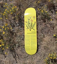 Image 5 of Indigenous Medicine Plant Series - Package