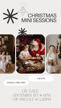 Holiday Minis