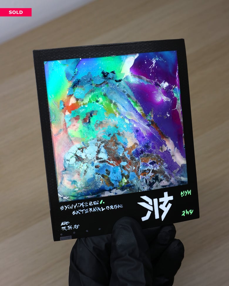 Image of HOLOGRAPHIC Polaroid "EXUVIAE"