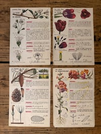 Image 1 of Petites gravures anciennes - décoration brocante