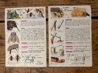Image 6 of Petites gravures anciennes - décoration brocante