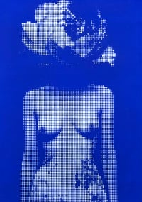 Rose Nue Bleue
