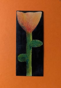 Image of Small flower on black