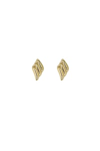 Armonia・gold