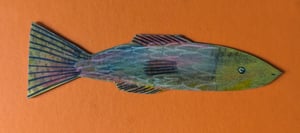 Image of Little fish