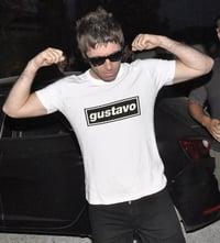 Image 7 of GUSTAVO