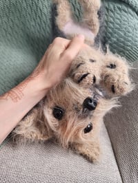 Image 2 of Terrier "Mona" — Hand-Knitted Wool Dog