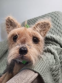 Image 3 of Terrier "Mona" — Hand-Knitted Wool Dog