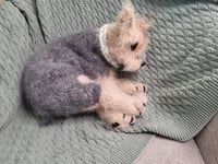 Image 5 of Terrier "Mona" — Hand-Knitted Wool Dog