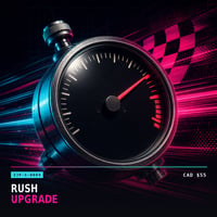 Rush Research Upgrade — 48-Hour Priority Processing (Add-On)