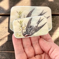 Image 5 of Notion tins