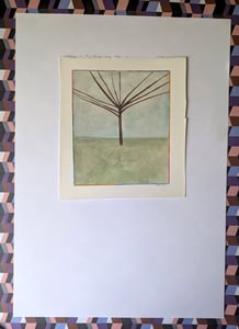 Image of Tree