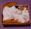 Liquid Cat III
