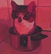 Not for dinner II