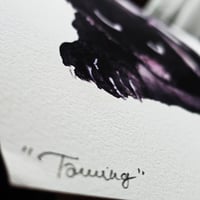 Image 5 of Taming