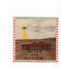 Never Say Never 