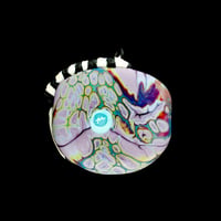 Image 2 of XXL. Twilight Zebra - Flamework Glass Sculpture Bead