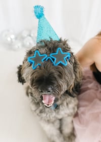 Image 5 of New Years Eve Minis (12/13/26)