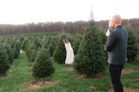 Image 4 of Christmas Tree Farm Mini Sessions (11/14/26)