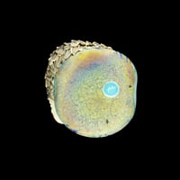Image 2 of XL. Mischeivious Pygmy Hedgehog - Flamework Glass Sculpture Bead 