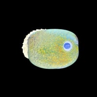 Image 2 of XL. Albino African Pygmy Hedgehog - Flamework Glass Sculpture Bead
