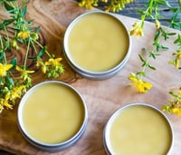 Poke Salve Root