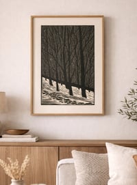 Image 1 of Ozark Winter