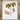 mayapple & morel