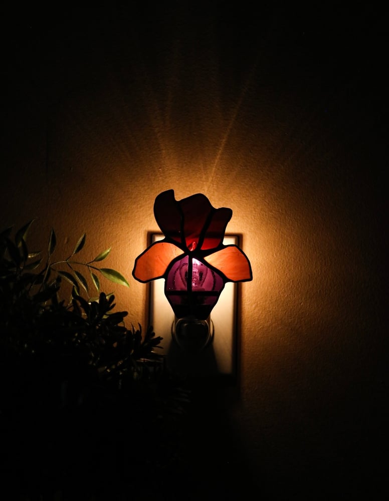 Image of Iris night light