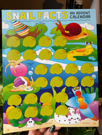 Snail Facts Advent Calendar