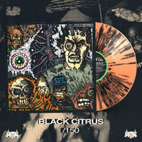 Image 3 of COLLATERAL - THE RESET LP
