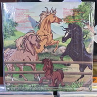 Image 4 of BRONCO - Salavaje LP + 7"