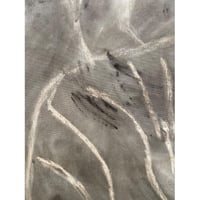 Image 4 of Fungi