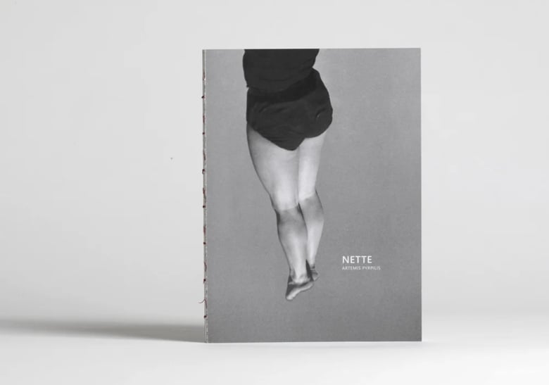 Image of NETTE