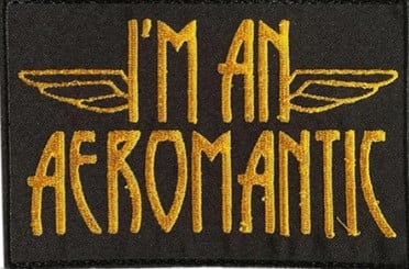 Image of THE NIGHT FLIGHT ORCHESTRA - I'm An Aeromantic - PATCH ONLY 1 IN STOCK