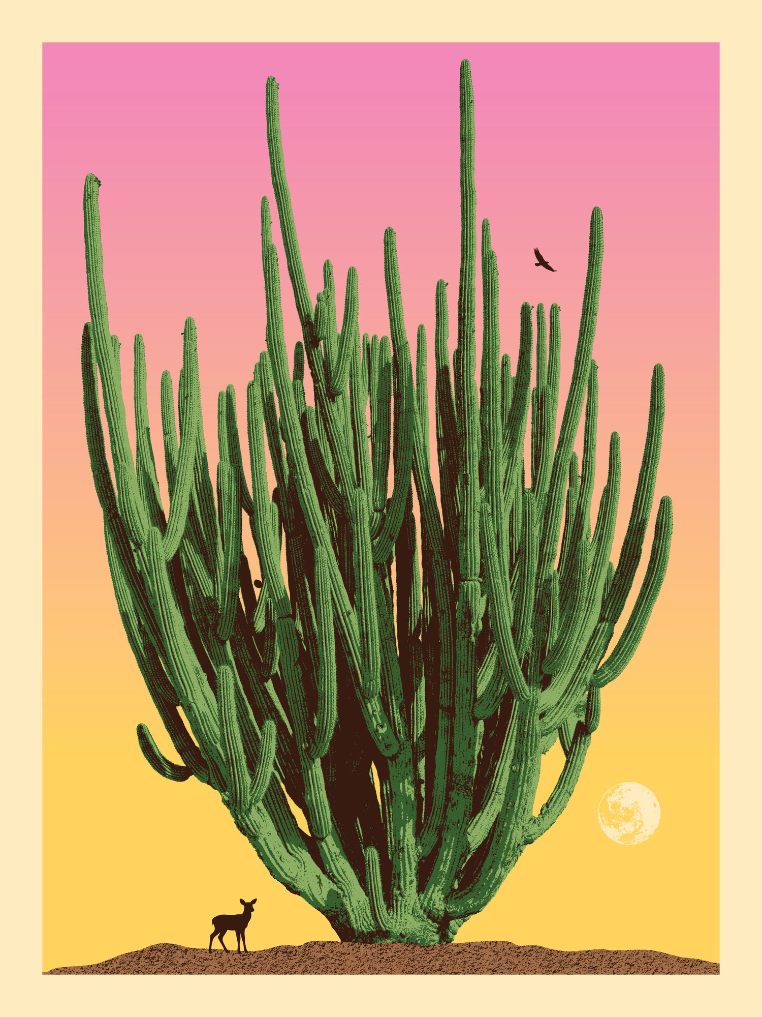 Pitaya of Wisdom Sunset