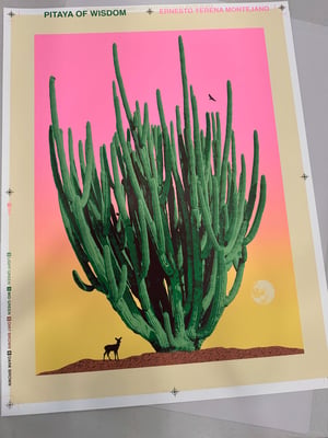 Pitaya of Wisdom Sunset
