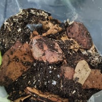 Image 3 of Mini Soil Duffle - All types 