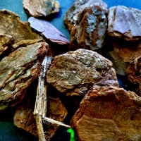 Image 2 of Chonky pine bark