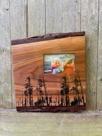 Image of Doug Fir Trees on Walnut Slab Frame