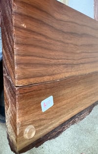 Image of Doug Fir Trees on Walnut Slab Frame