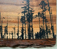 Image of Doug Fir Trees on Walnut Slab Frame