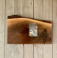 Image of Birch Tree Print on Walnut Slab Frame