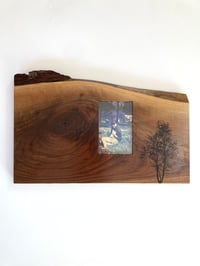 Image of Birch Tree Print on Walnut Slab Frame