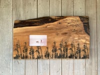 Image of Doug Fir Trees on Walnut Slab Frame (24" Wide)