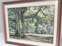 Image 3 of Vintage Watercolour Painting, Woodland Trees Landscape by F. T. Cambridge, Framed 