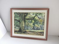 Image 2 of Vintage Watercolour Painting, Woodland Trees Landscape by F. T. Cambridge, Framed 