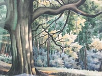 Image 10 of Vintage Watercolour Painting, Woodland Trees Landscape by F. T. Cambridge, Framed 