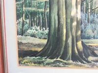 Image 9 of Vintage Watercolour Painting, Woodland Trees Landscape by F. T. Cambridge, Framed 