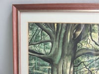 Image 4 of Vintage Watercolour Painting, Woodland Trees Landscape by F. T. Cambridge, Framed 